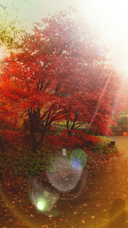 Dursley House Hotel Whitland Esterno foto